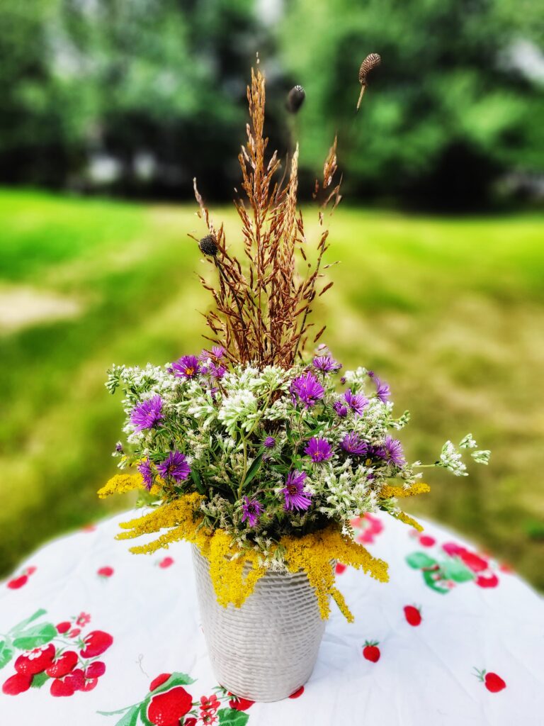 Fall Bouquet on Tablecloth: This vibrant arrangement features a mix of native plants including showy goldenrod (Solidago speciosa), New England aster (Symphyotrichum novae-angliae), and boneset (Eupatorium perfoliatum). The feathery seedheads of little bluestem (Schizachyrium scoparium) add height and texture to the bouquet. The subtle hues of white, gold, and purple create a stunning fall display, making it a perfect centerpiece for a seasonal table setting.