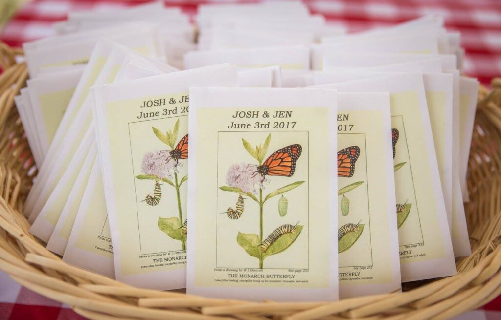 Personalized Seed Packets: These custom wedding favor seed packets feature beautiful illustrations of the monarch butterfly (Danaus plexippus) life cycle, alongside milkweed (Asclepias spp.)—the essential host plant for monarch caterpillars. Each packet includes native milkweed seeds, encouraging guests to plant and support monarch populations while remembering this special day.