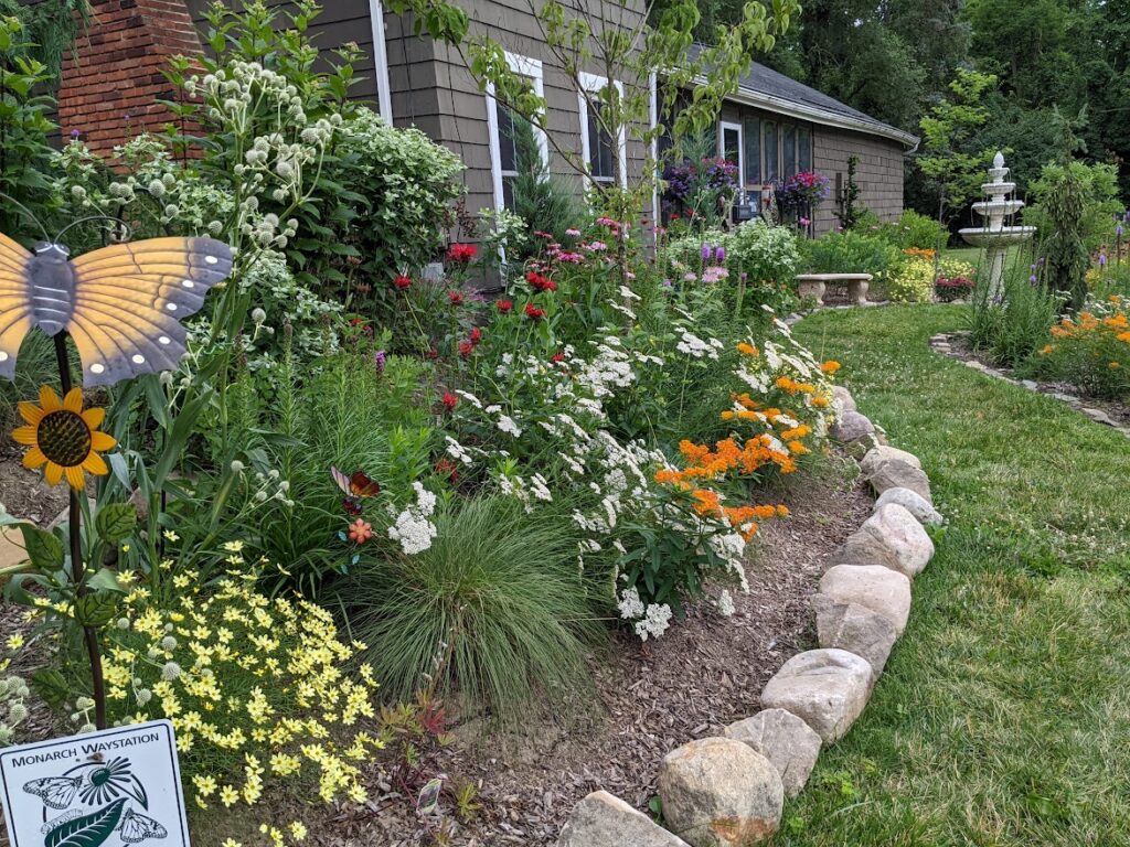 Butterfly garden edged with stone in front of a gray-brown house.  Garden has yellow, white, orange, purple, and red flowers and butterfly ornaments. A "Monarch Waystation" sign is visible. 