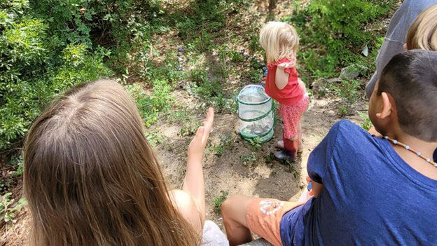 Children at the site of a pollinator garden releasing butterflies. 