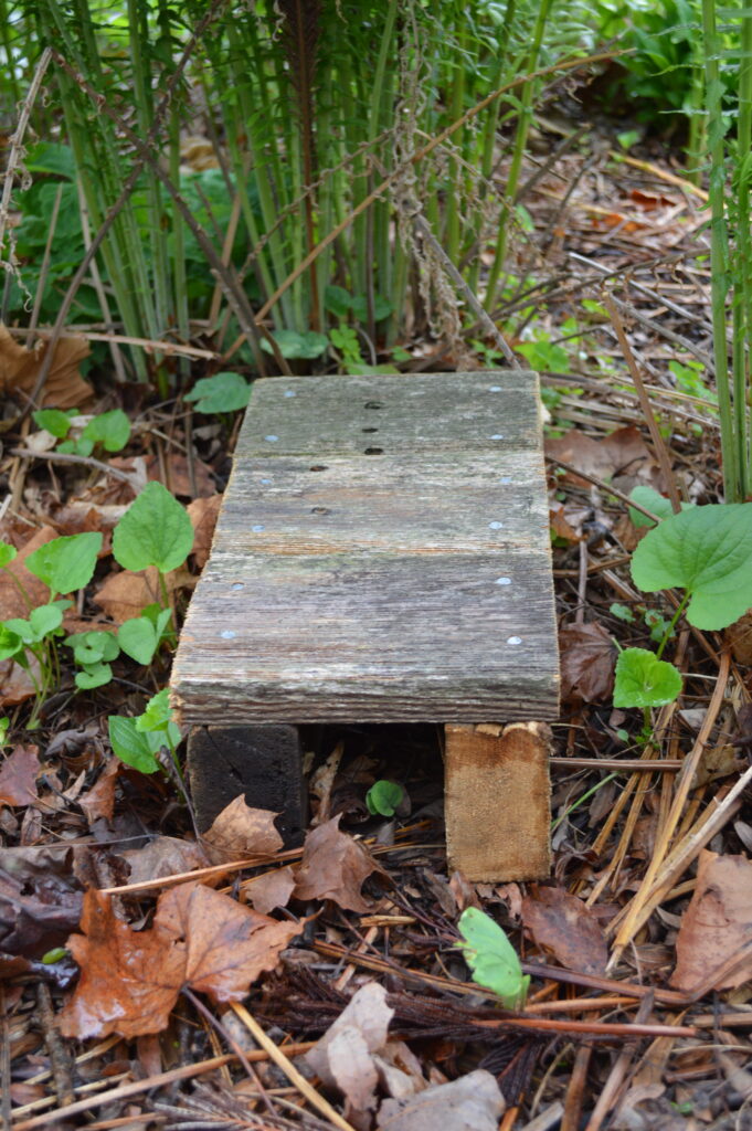 A rustic wooden toad house sits quietly in a natural garden setting. The small, weathered structure, made of planks with nails visible, rests on brick fragments amidst fallen leaves, twigs, and the fresh greenery of new plants. Its simple, unadorned appearance blends seamlessly with the understated beauty of its surroundings, offering a hidden refuge for garden wildlife.