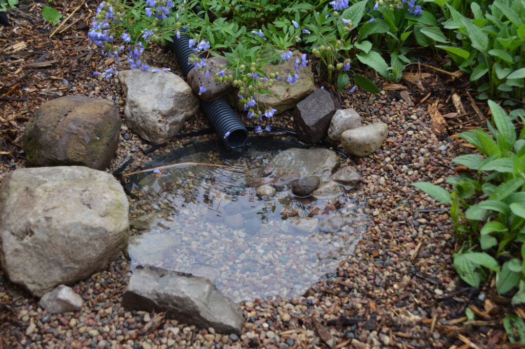 A serene garden corner featuring a small, clear, man-made pond bordered by rocks and a black corrugated drain pipe. The pond's surface reflects its peaceful surroundings. A variety of small pebbles cover the ground, and fresh greenery with delicate purple flowers adds a touch of vibrant color and life to the scene.