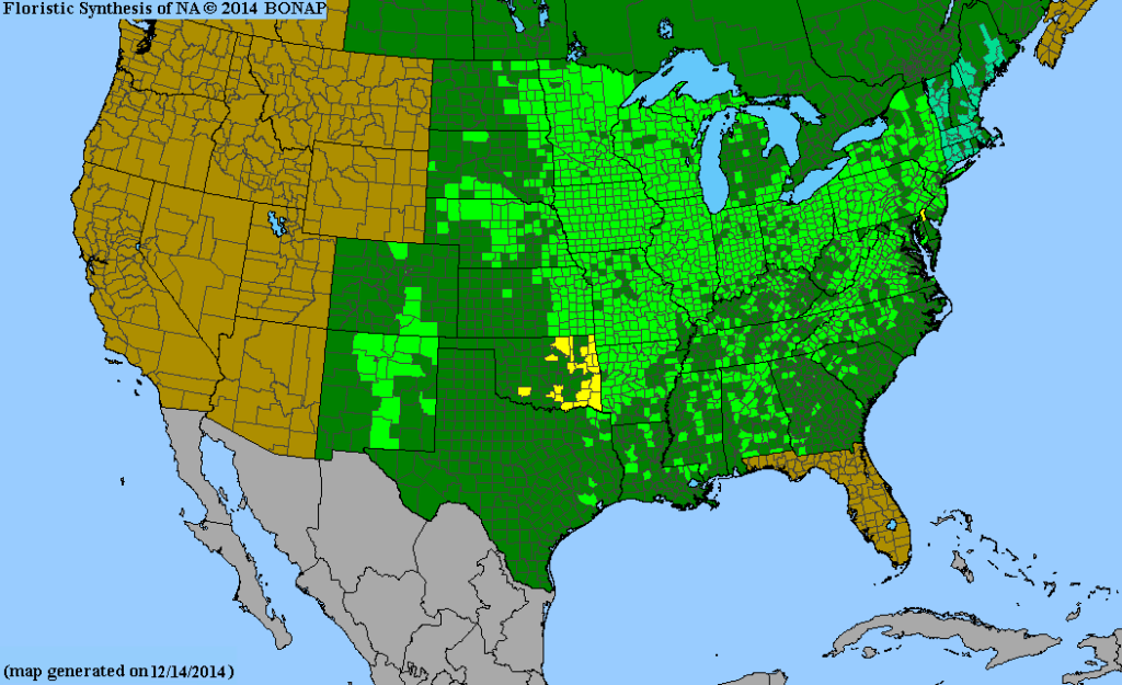 US Range of Heliopsis helianthoide